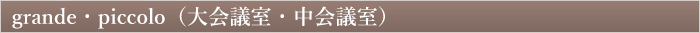 grande・piccolo（大会議室+中会議室）